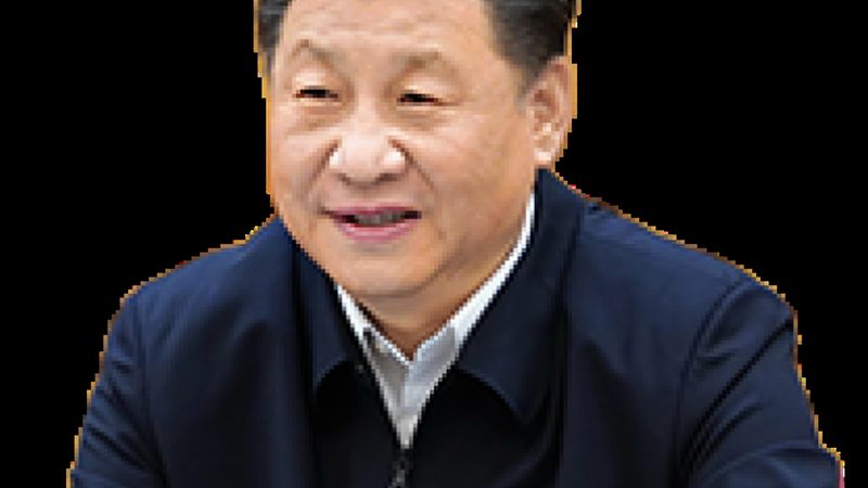 合规性：添加剂选型的首要标准